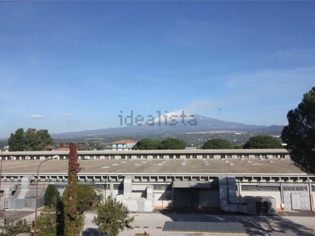 Locale Commerciale in affitto a Belpasso, Sicilia