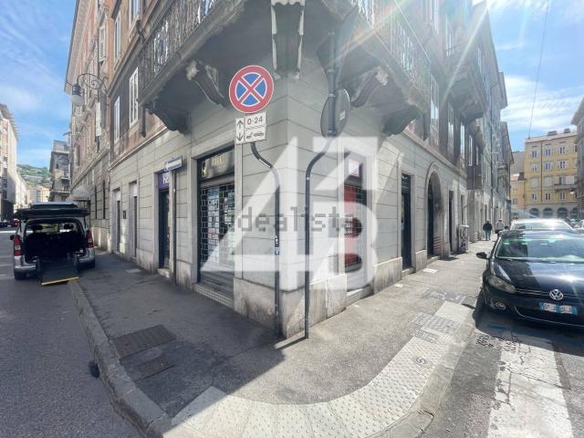Locale Commerciale in affitto a Città Nuova-Barriera Nuova-San Vito-Città Vecchia, Villa Opicina