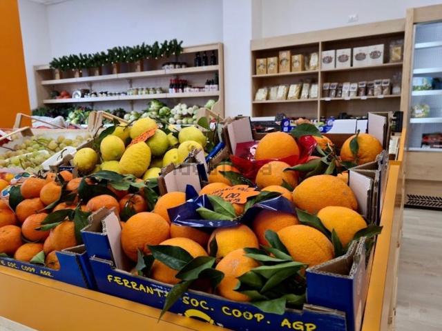 Locale Commerciale in affitto a Pescara, Abruzzo