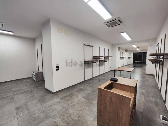 Locale Commerciale in affitto a Unione Comuni Modenesi Area Nord, Mirandola
