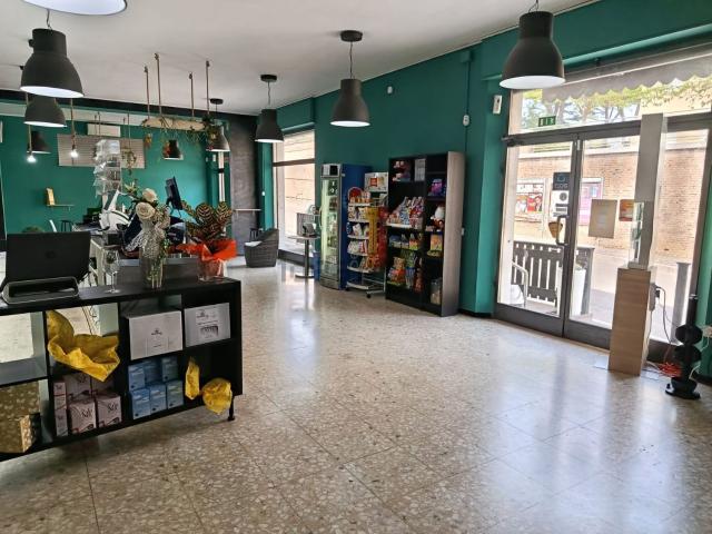 Locale Commerciale in affitto a Mozzagrogna, Abruzzo