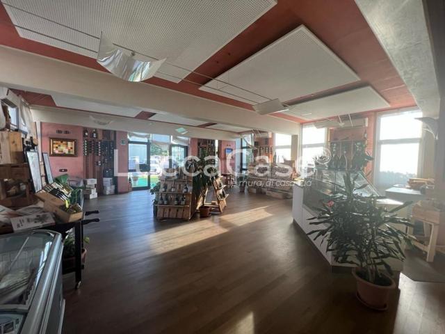 Locale Commerciale in affitto a San Quirico, Capannori
