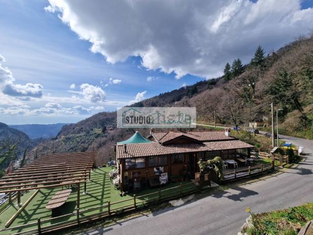 Locale Commerciale in affitto a Casoli, Camaiore