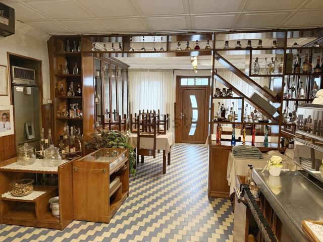 Locale Commerciale in affitto a Sud, Brenzone