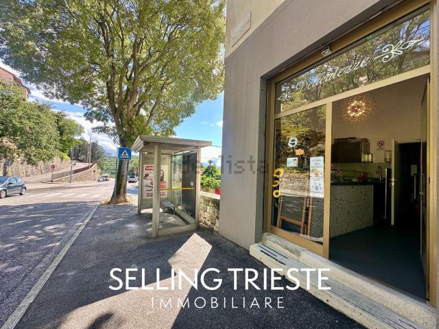 Locale Commerciale in affitto a San Giovanni-Chiadino-Rozzol, Villa Opicina
