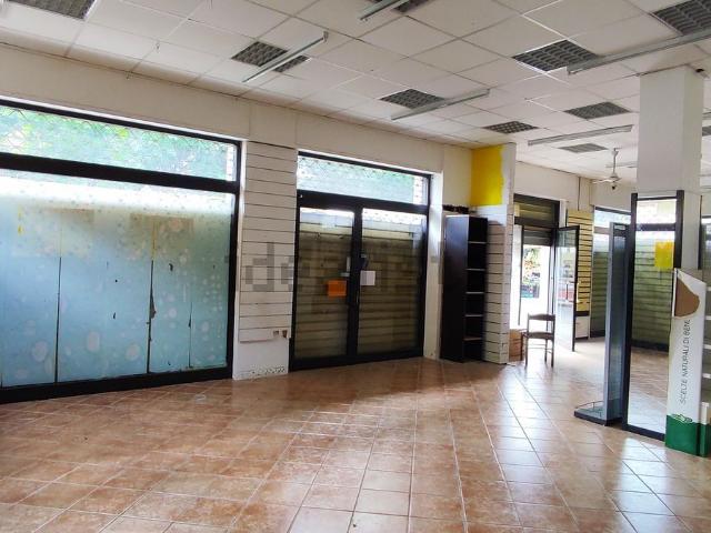 Locale Commerciale in affitto a Municipio Roma VI, Roma Capitale