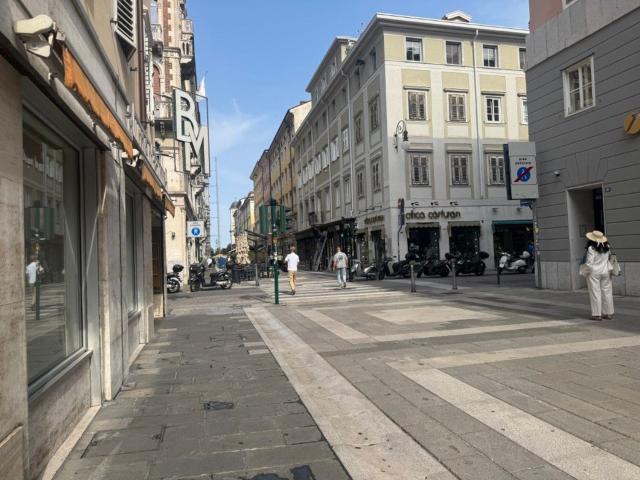 Locale Commerciale in affitto a Città Nuova-Barriera Nuova-San Vito-Città Vecchia, Villa Opicina