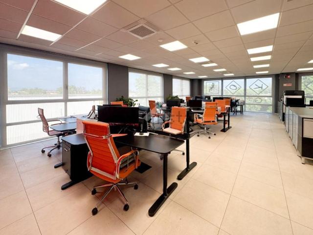 Locale Commerciale in affitto a Manerbio, Lombardia
