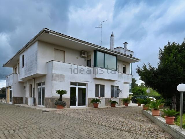 Locale Commerciale in affitto a Puglia, Bari