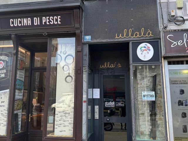 Locale Commerciale in affitto a Barriera Vecchia-San Giacomo, Villa Opicina