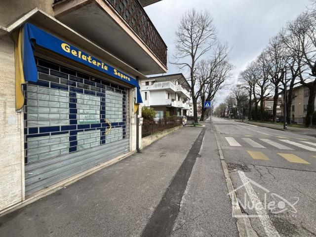 Locale Commerciale in affitto a Carrara San Giorgio, Veneto