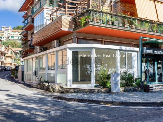 Locale Commerciale in affitto a Trevignano Romano, Roma Capitale