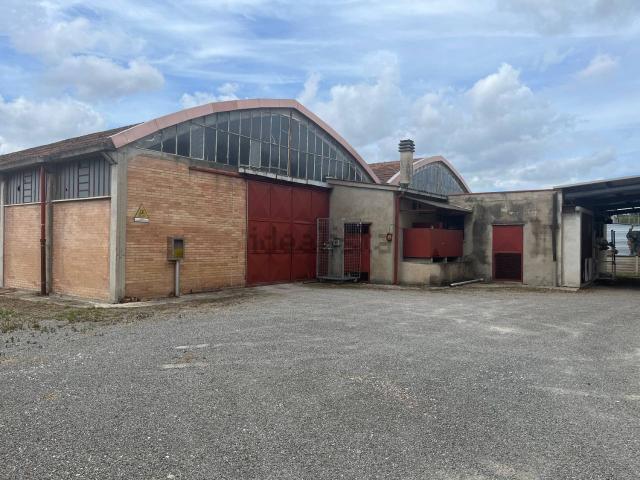 Locale Commerciale in affitto a Terricciola, Toscana