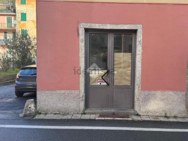 Locale Commerciale in affitto a Pianazzo, Borzonasca