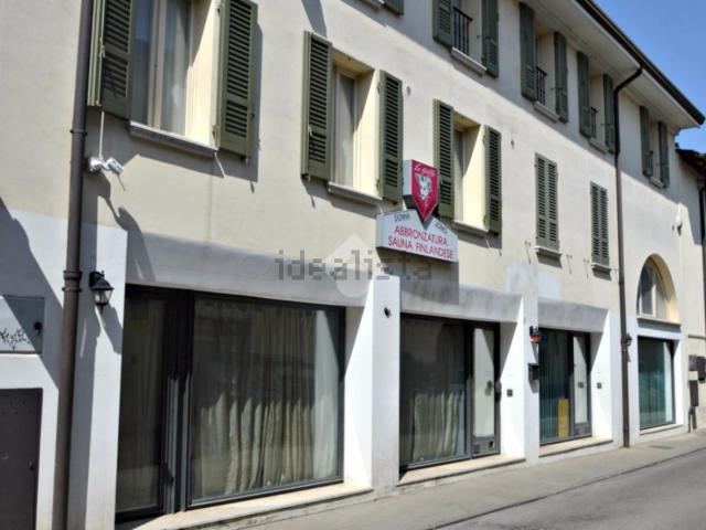 Locale Commerciale in affitto a Manerbio, Lombardia