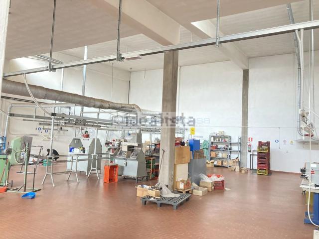 Locale Commerciale in affitto a Campiglione III, Marche