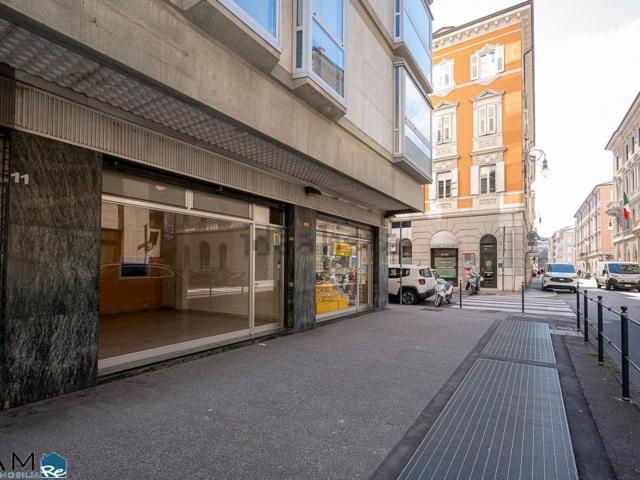 Locale Commerciale in affitto a Città Nuova-Barriera Nuova-San Vito-Città Vecchia, Villa Opicina