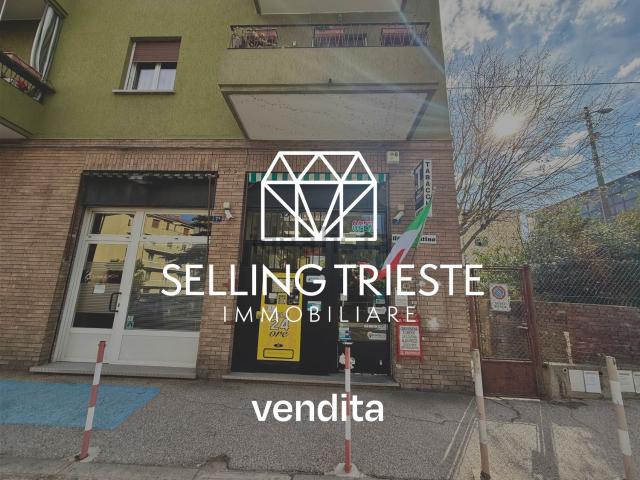 Locale Commerciale in affitto a Opicina / Opčine, Villa Opicina