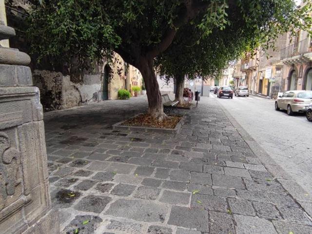 Locale Commerciale in affitto a Santa Caterina, Acireale