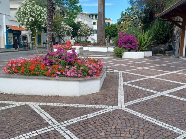 Locale Commerciale in affitto a Ischia, Campania