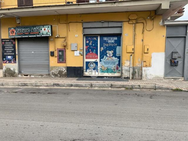 Locale Commerciale in affitto a Caserta, Campania