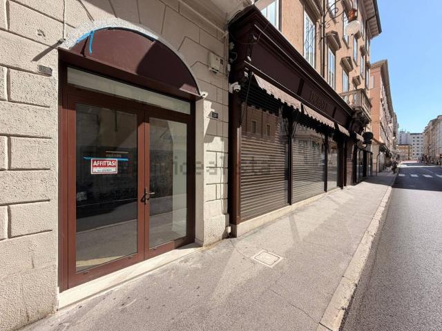 Locale Commerciale in affitto a Città Nuova-Barriera Nuova-San Vito-Città Vecchia, Villa Opicina