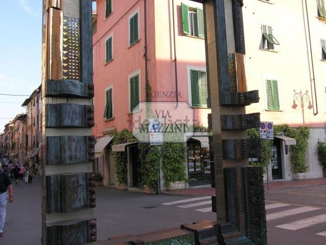 Locale Commerciale in affitto a Tonfano, Toscana