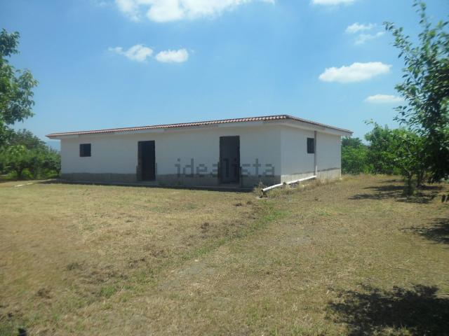 Locale Commerciale in affitto a San Sossio, Somma Vesuviana