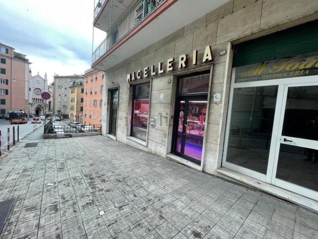 Locale Commerciale in affitto a Centro Ovest, Serra Riccò