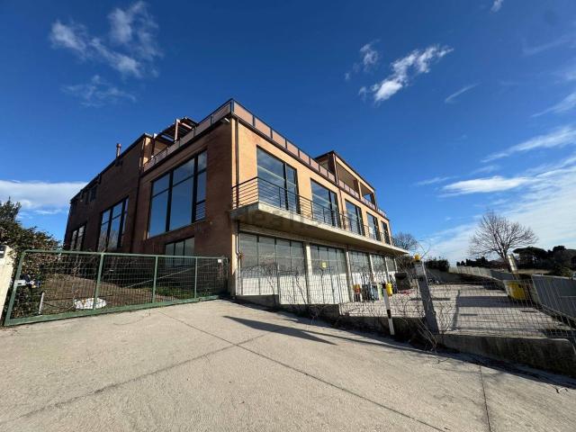 Locale Commerciale in affitto a Marche, Fermo