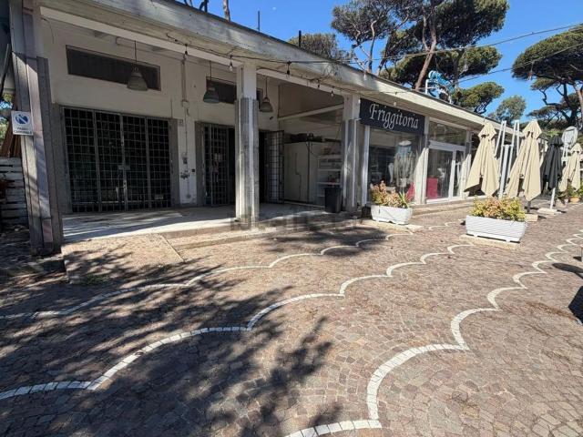 Locale Commerciale in affitto a Fregene, Roma Capitale