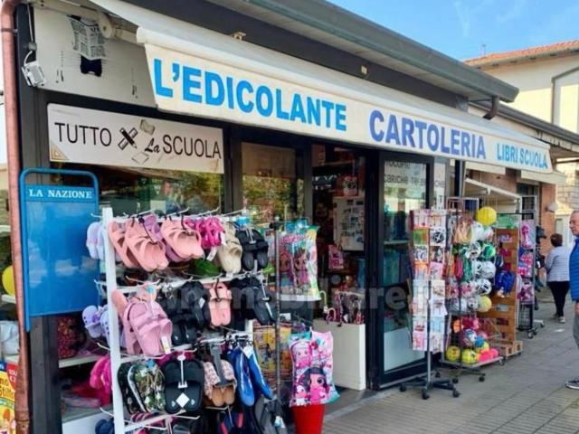 Locale Commerciale in affitto a Cervaiolo, Montignoso