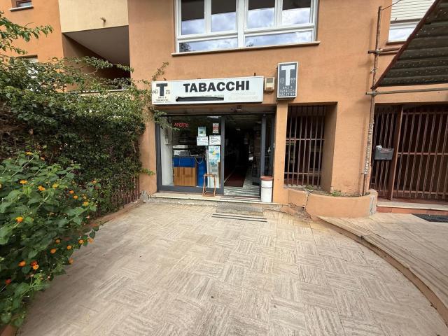 Locale Commerciale in affitto a Borgo Odescalchi, Roma Capitale