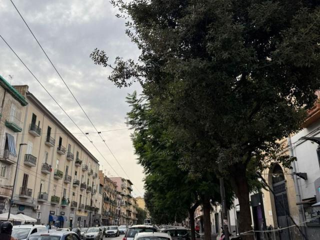 Locale Commerciale in affitto a Municipalità 7, Campania