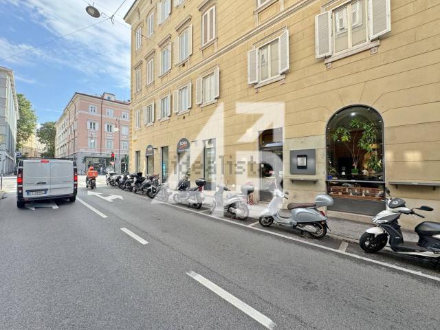 Locale Commerciale in affitto a Città Nuova-Barriera Nuova-San Vito-Città Vecchia, Villa Opicina