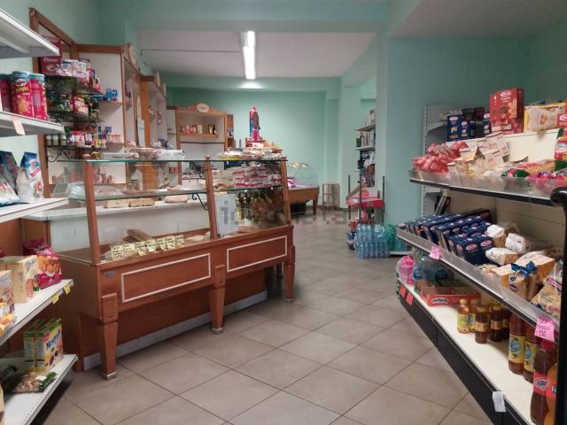 Locale Commerciale in affitto a San Giuliano Terme, Toscana