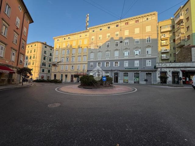 Locale Commerciale in affitto a Barriera Vecchia-San Giacomo, Villa Opicina