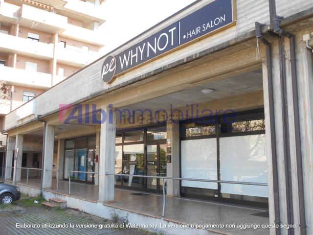 Locale Commerciale in affitto a Pieve Modolena, Re