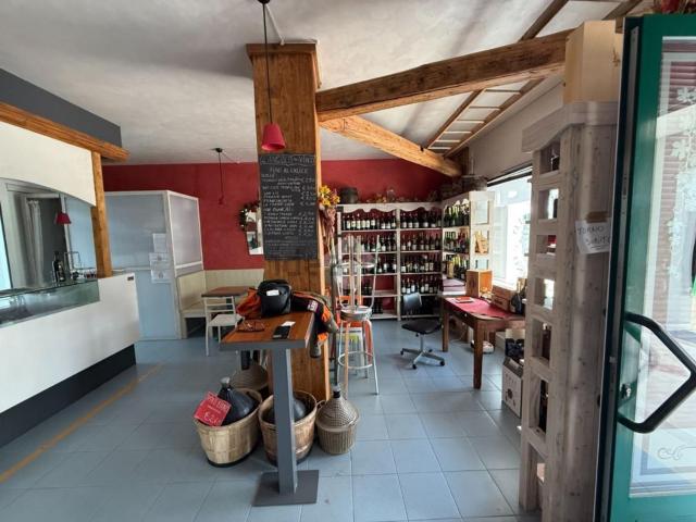 Locale Commerciale in affitto a San Lazzaro, Bassano Del Grappa