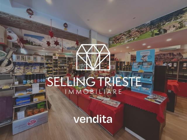 Locale Commerciale in affitto a Città Nuova-Barriera Nuova-San Vito-Città Vecchia, Villa Opicina