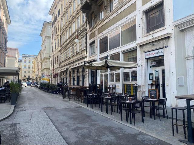 Locale Commerciale in affitto a Città Nuova-Barriera Nuova-San Vito-Città Vecchia, Villa Opicina