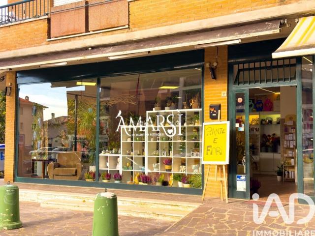 Locale Commerciale in affitto a Assisi, Umbria