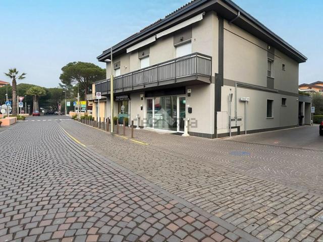 Locale Commerciale in affitto a Lugana, Sirmione