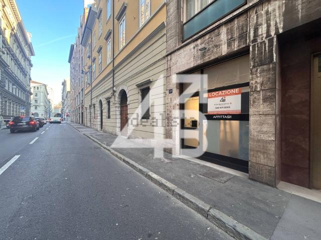 Locale Commerciale in affitto a Città Nuova-Barriera Nuova-San Vito-Città Vecchia, Villa Opicina