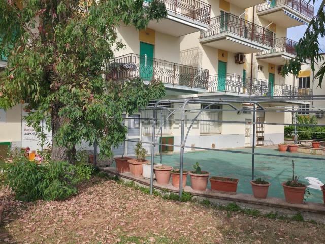 Locale Commerciale in vendita a Ascea, Campania