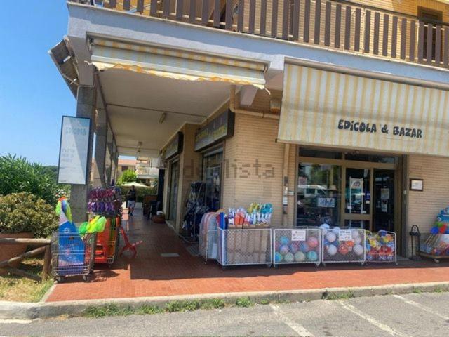 Locale Commerciale in vendita a Marina di San Nicola, Roma Capitale