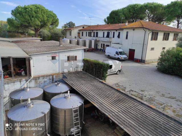 Locale Commerciale in vendita a Unione dei Comuni Circondario dell'Empolese Valdelsa, Empoli