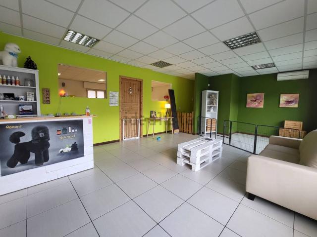 Locale Commerciale in vendita a Tricesimo, Friuli-Venezia Giulia