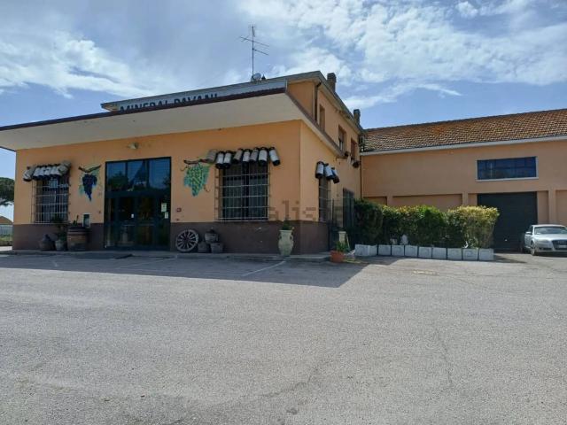 Locale Commerciale in vendita a San Giuseppe, Comacchio