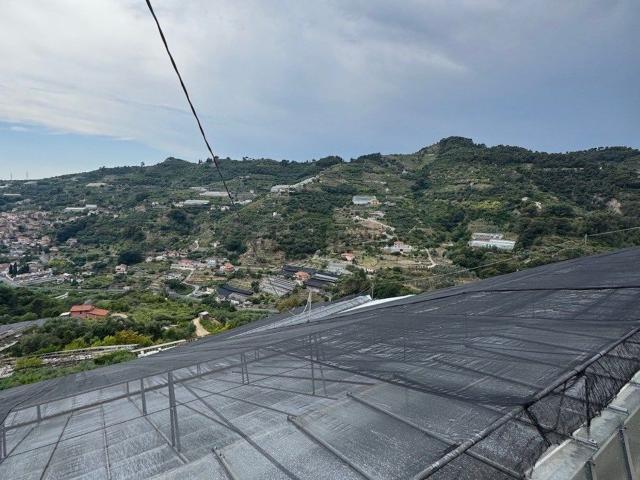 Locale Commerciale in vendita a San Biagio Della Cima, Liguria